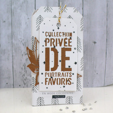 Mini album Tag : portraits favoris TUTO VIDEO